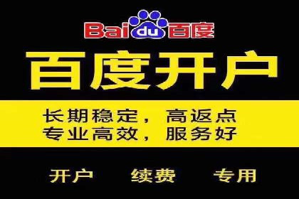 高效百度竞价推广代运营实战案例